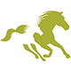 watermark logo